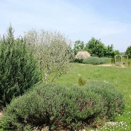Le Grand Paradis Morannes sur Sarthe-Daumeray エクステリア 写真